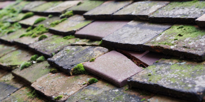 Parc Seymour roof repair costs